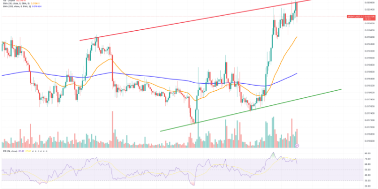Jasmy Coin Price Prediction as JASMY Rockets Up 12% – Are Whales Buying?