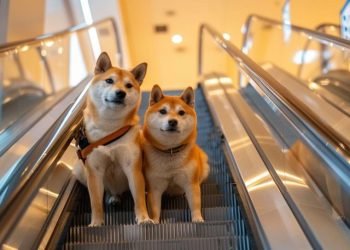 Meme Coin News: GME Token Outperforms Stock, 15B FLOKI Burned, SHIB Could Hit $1 in 15Y