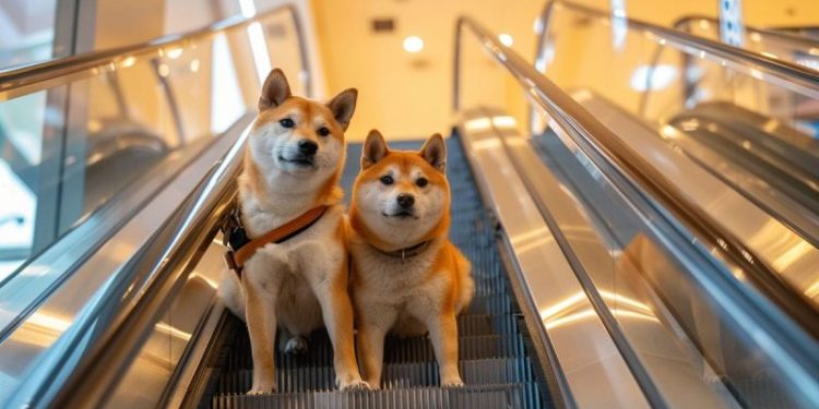 Meme Coin News: GME Token Outperforms Stock, 15B FLOKI Burned, SHIB Could Hit $1 in 15Y