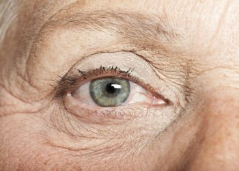 Human Ageing – The Search for a Longer Life