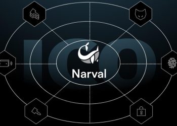 Narval ICO: Revolutionizing Web3 Wallet Management