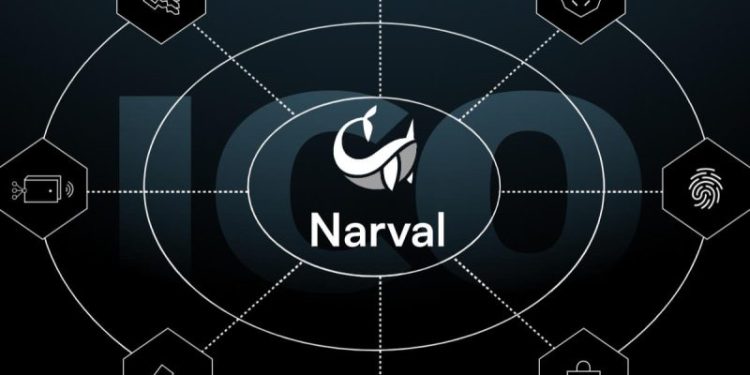Narval ICO: Revolutionizing Web3 Wallet Management