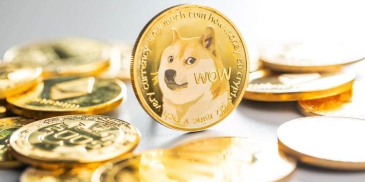 Dogecoin and Shiba Inu: Shiba Inu at new low at 0.00002284