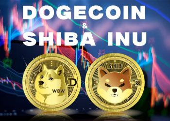 Dogecoin and the Shiba Inu: Dogecoin is recovering 