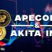 ApeCoin and Akita Inu: Akita Inu is testing last week’s low