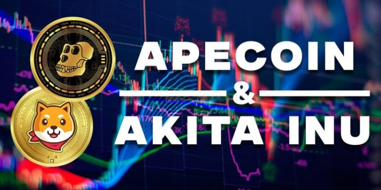 ApeCoin and the Akita Inu: Akita Inu continues to retreat