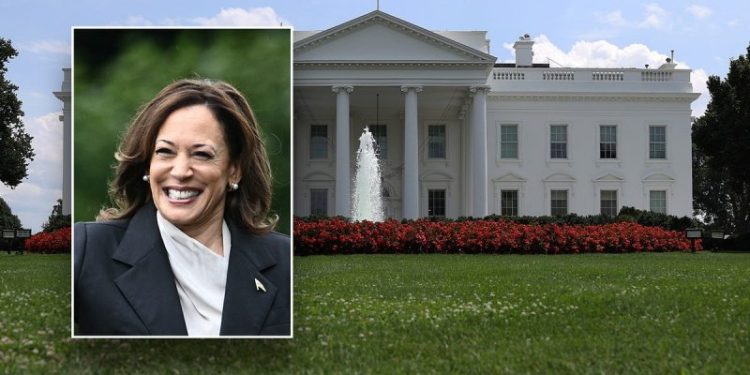 How Vice President Kamala Harris got started in politics