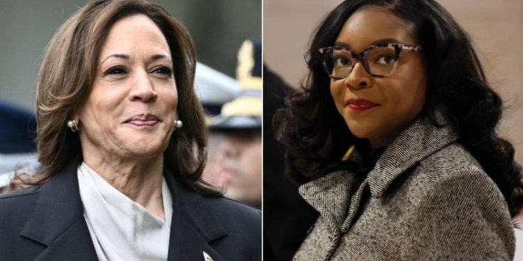 Vulnerable House Dem dodges question on VP Harris’ record as ‘border czar’: ‘Don’t know who Kamala Harris is’