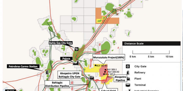 Alvopetro Energy: Leading Independent Upstream and Midstream Gas Developer in Brazil