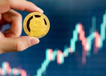 Elon Musk Cryptocurrency Craze: DOGE, SHIBA, and MUSK