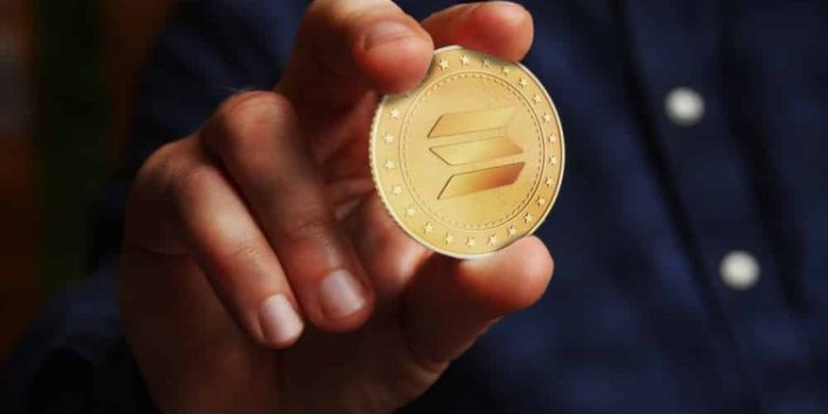 Solana and Cardano: Cardano continues bullish option