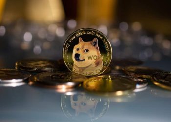 Dogecoin and the Shiba Inu: Dogecoin on the positive side