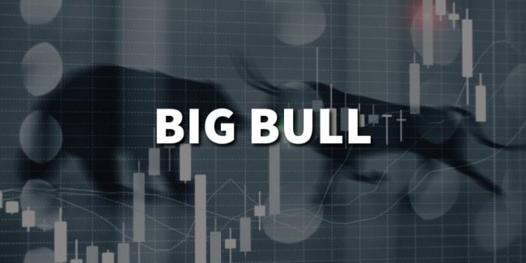 BighBull Crypto (BIGB): Exploring The Potential