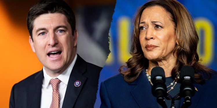 ‘Serious loophole’: GOP widens probe into ActBlue, Dem fundraising platform helping Harris raise millions