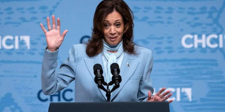 Harris team ‘not aware’ of stolen Trump docs sent ‘directly’ to Biden camp