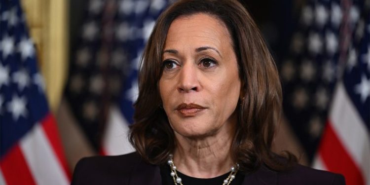 Harris failing to cobble together Biden’s winning 2020 coalition: analysis