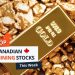 Top 5 Canadian Mining Stocks This Week: Gold Stocks Surge as Price Strength Continues