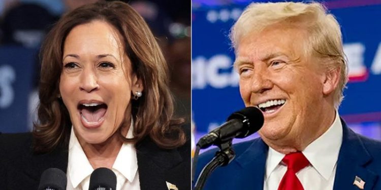 Fox News Poll: Trump ahead of Harris by 2 points nationally