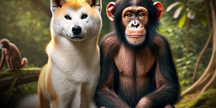 ApeCoin and Akita Inu: New Daily Targets and Prices