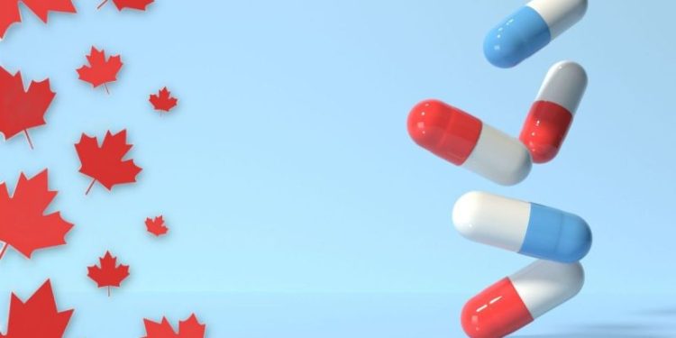 4 Best-performing Canadian Pharma Stocks of 2024