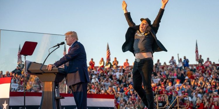 Elon Musk blasts Tim Walz after Democrat trains fire on the Trump-backing tycoon