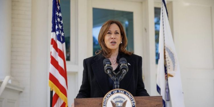 From ‘joyful’ to ‘fascist’ – Why Kamala Harris adopted Biden’s playbook on blasting Trump