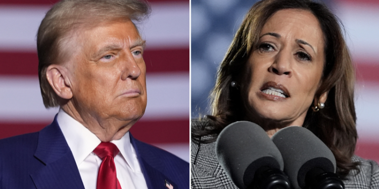Harris slams ‘offensive’ Trump remark on protecting women from migrant crime