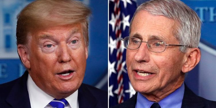 Fauci ripped over new paper criticizing Trump on coronavirus, promoting natural origin theory: ‘Embarrassment’