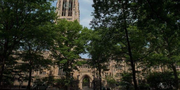 Stop funding the woke and the stupid