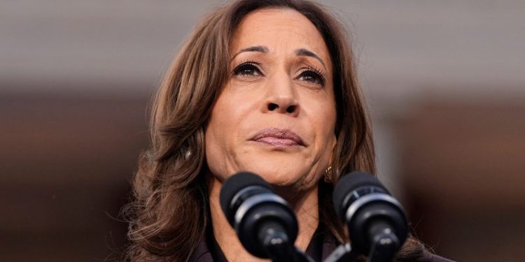 Harris campaign officials explain what went wrong –  and what Trump did right: report