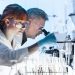 Top 5 Life Science ETFs