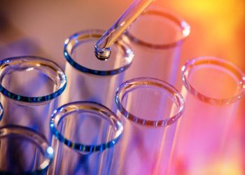 Top 5 Small-cap Biotech Stocks (Updated January 2025)