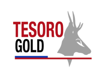 Wide High Grade Gold Intercepts at El Zorro