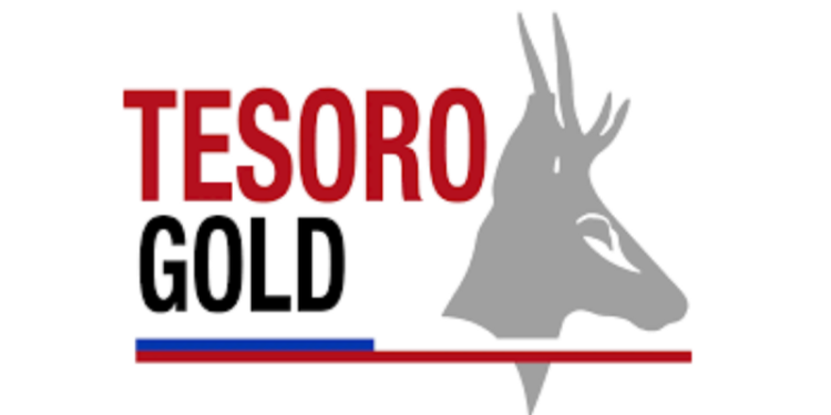 Wide High Grade Gold Intercepts at El Zorro